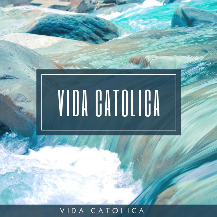 Vida Catolica's avatar image