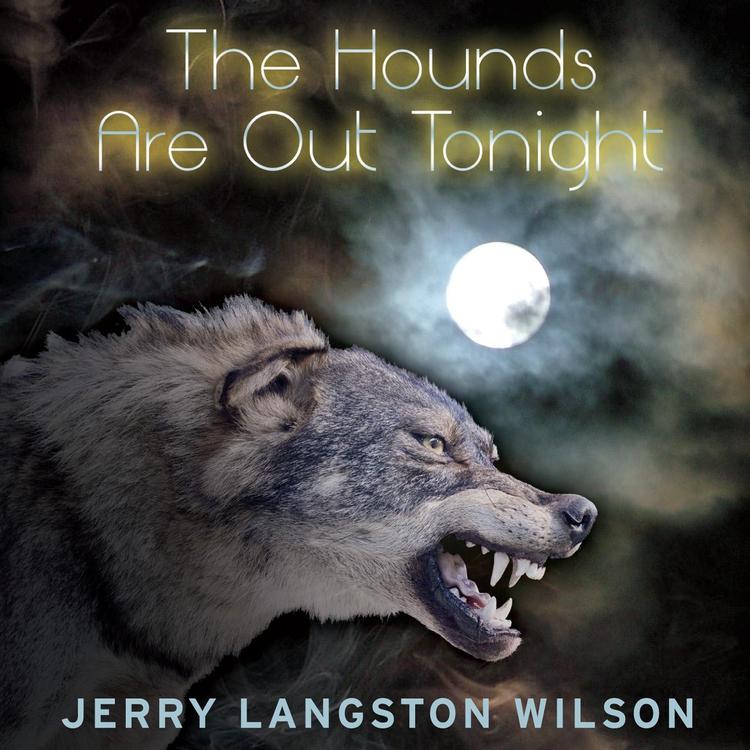 Jerry Langston Wilson's avatar image