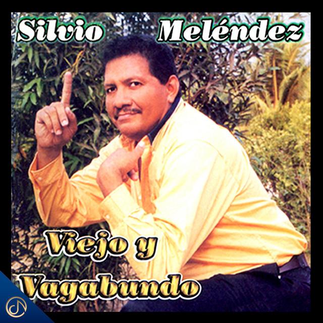 Silvio Meléndez's avatar image