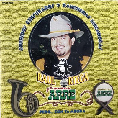 Raúl Ortega y Su Banda Arre's cover