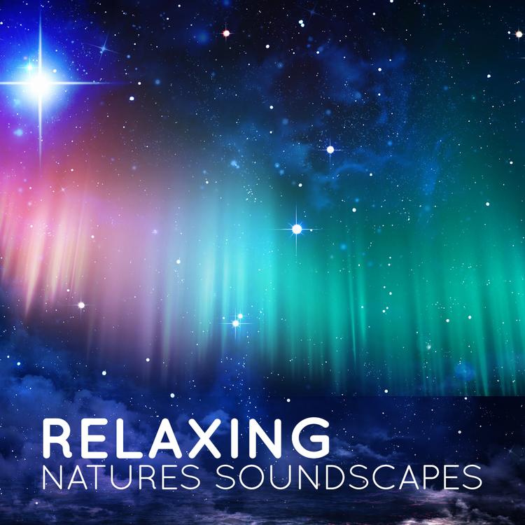 Relaxing Natural Sounds's avatar image