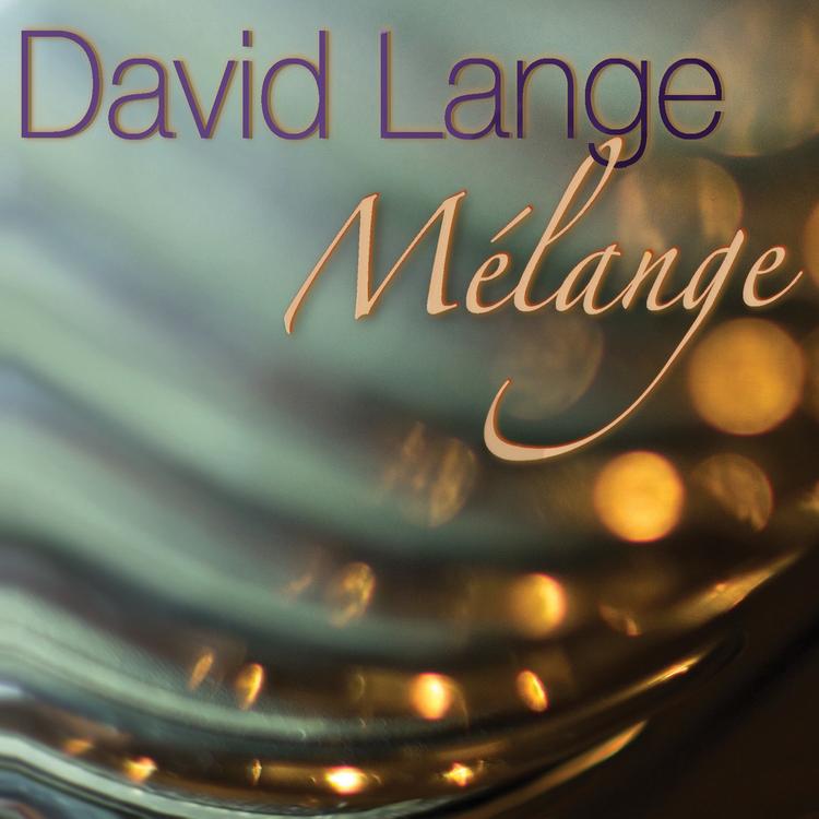 David Lange's avatar image