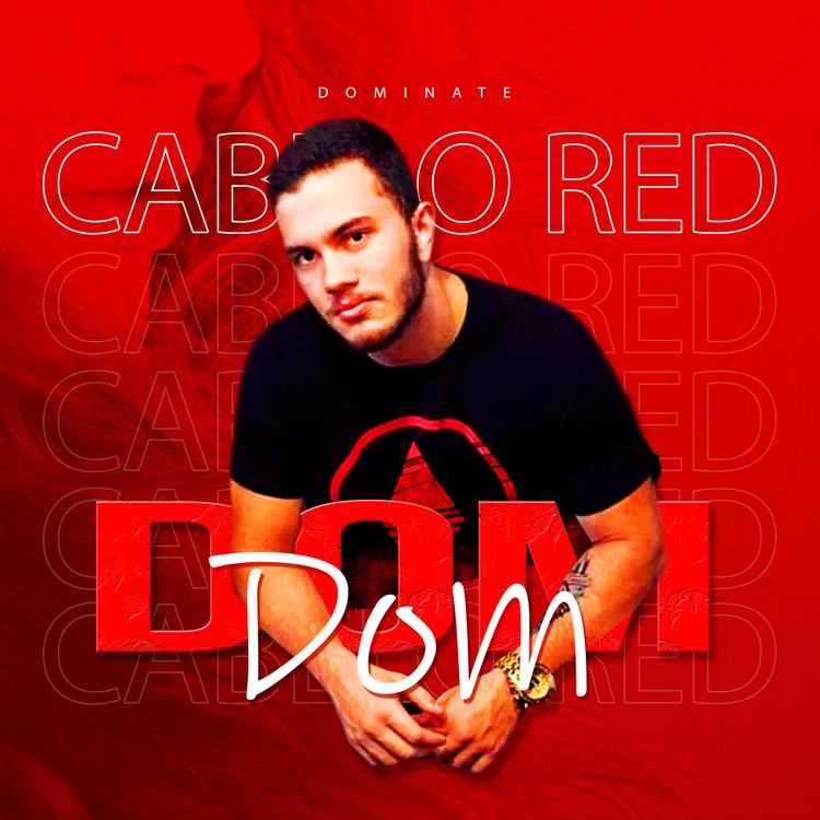 Dom's avatar image