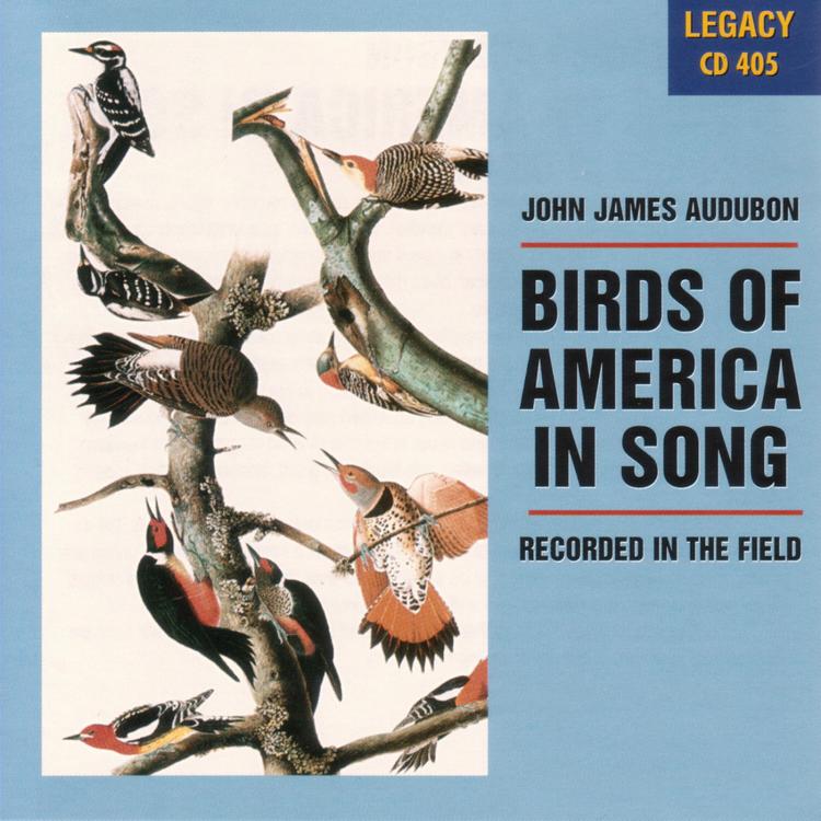 John James Audubon's avatar image