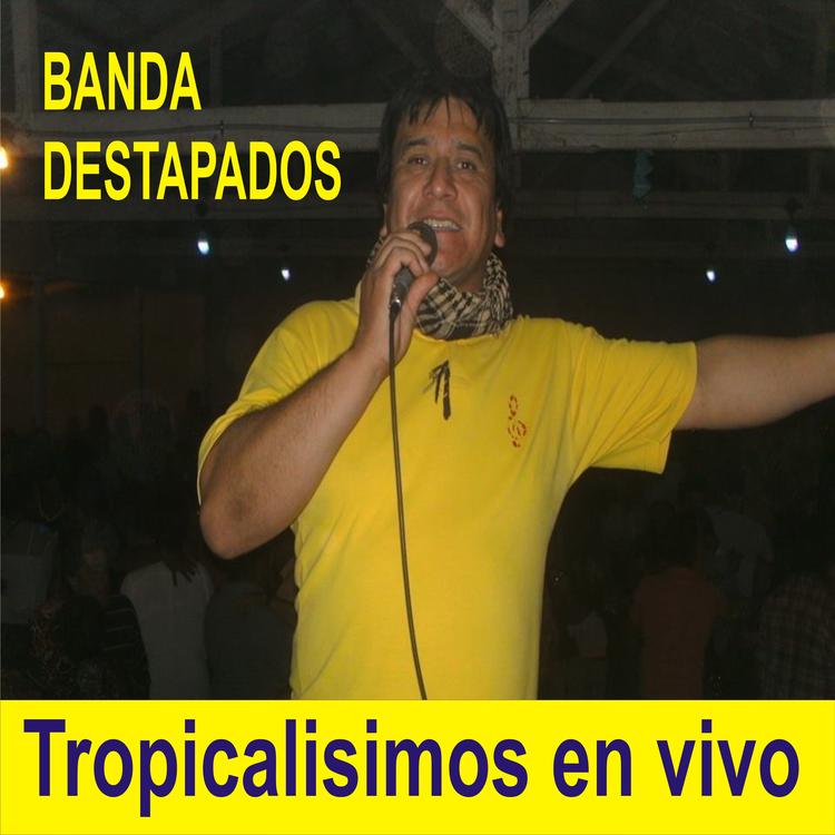 Banda Destapados's avatar image