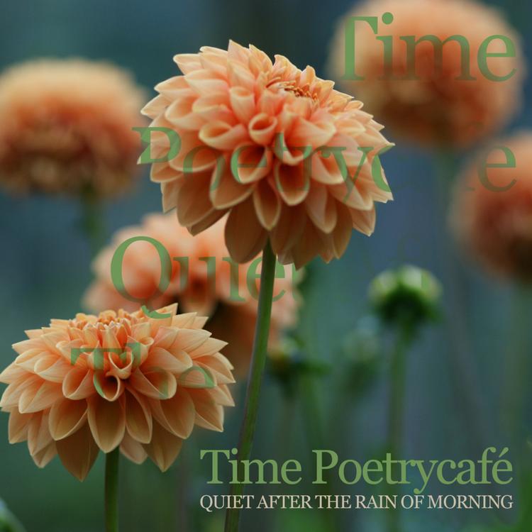 Time Poetrycafé's avatar image