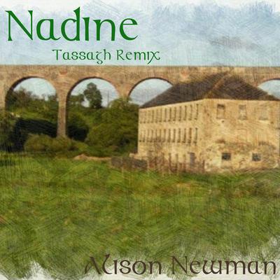 Nadine (Tassagh Remix)'s cover