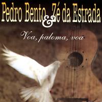 Zé Da Estrada's avatar cover