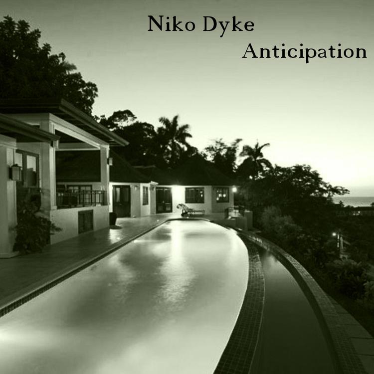 Niko Dyke's avatar image