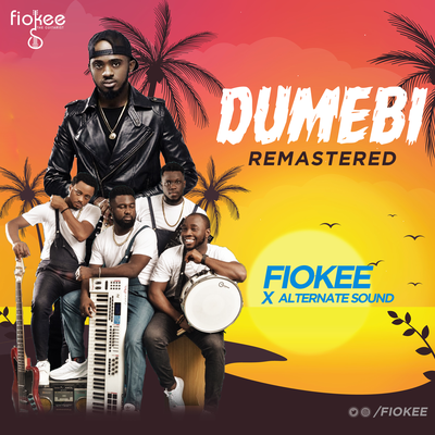 Dumebi (feat. Alternate Sound)'s cover