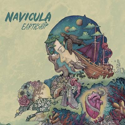 Navicula's cover