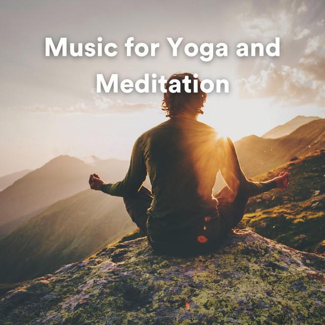 Quiet Meditation Music's avatar image