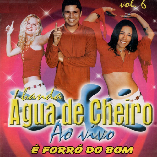 100% = FORRÓ ÁGUA DE CHEIRO's cover