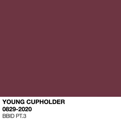 Young Cupholder's cover