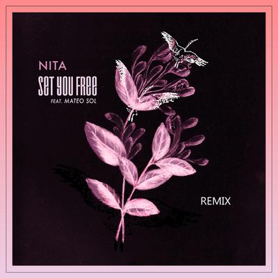 Set You Free (Remix) By Nita Chawla, Mateo Sol's cover