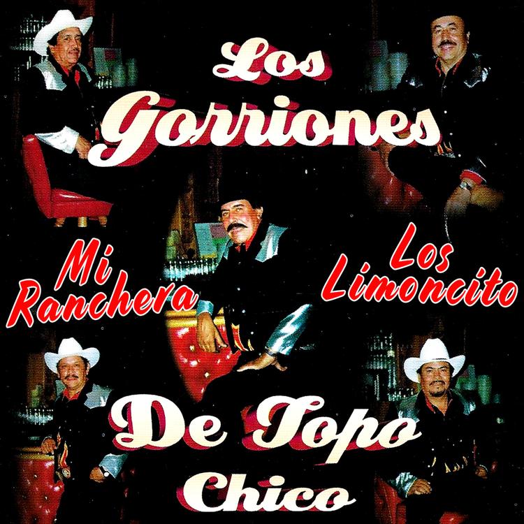 Los Gorriones De Topo Chico's avatar image