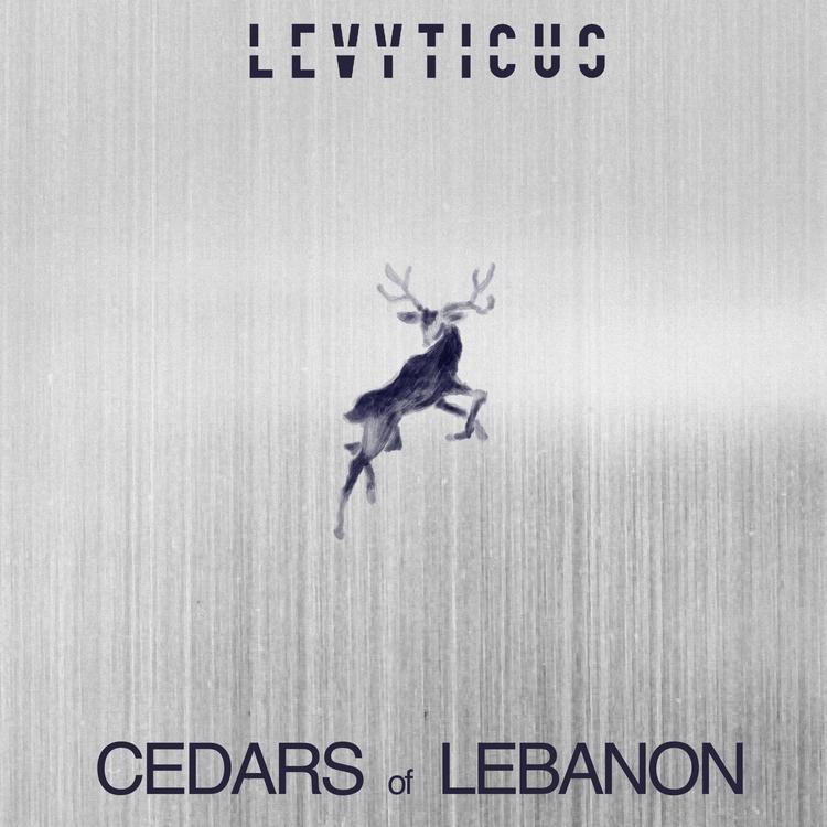 Cedars of Lebanon's avatar image