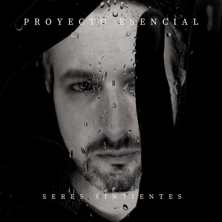 Proyecto Esencial's avatar image