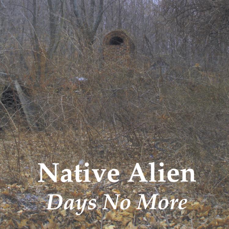 Native Alien's avatar image