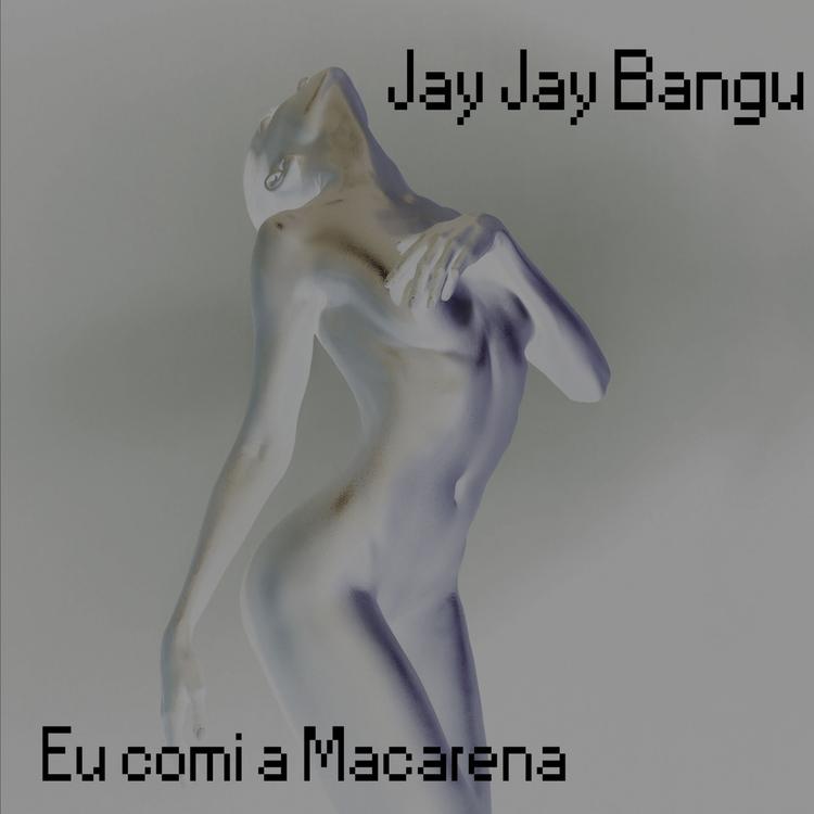 Jay Jay Bangu's avatar image