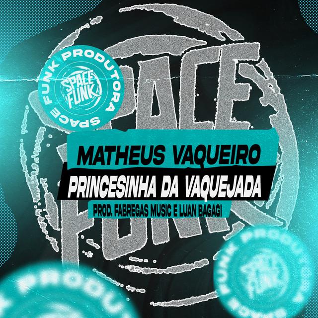 Matheus Vaqueiro's avatar image