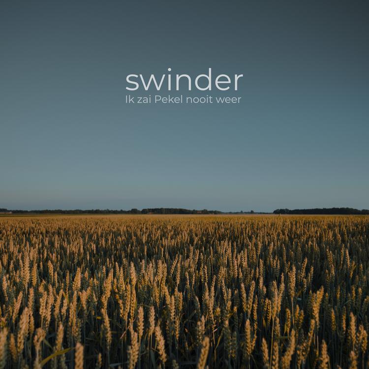 Swinder's avatar image