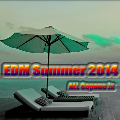 EDM Summer 2014's cover