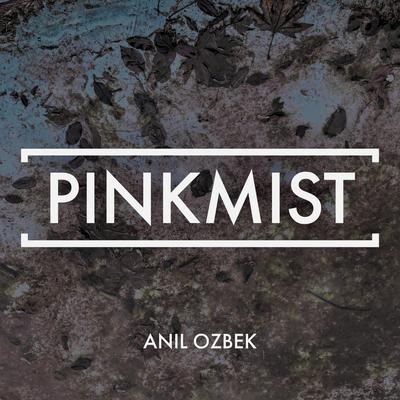 Pinkmist By Anil Ozbek's cover