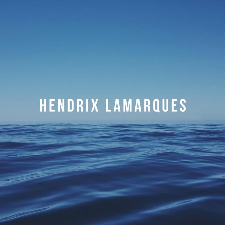 Hendrix Lamarques's avatar image