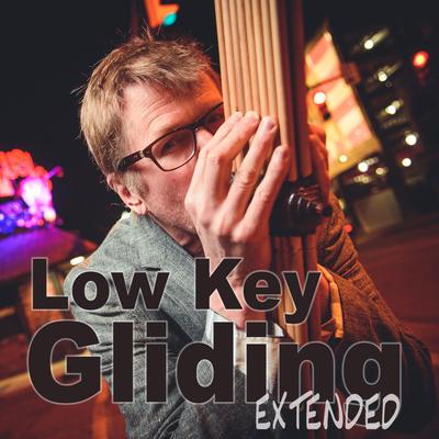 Low Key Gliding (Extended) By Hal Walker's cover