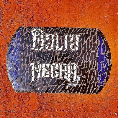 Dalia Negra's cover