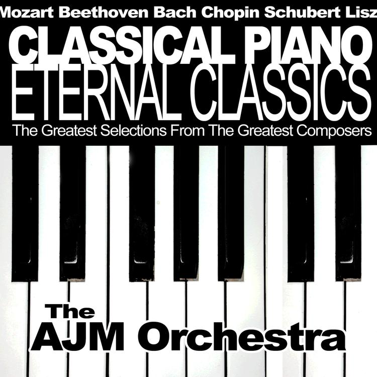 The AJM Orchestra's avatar image