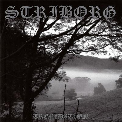Trepidation By Striborg's cover