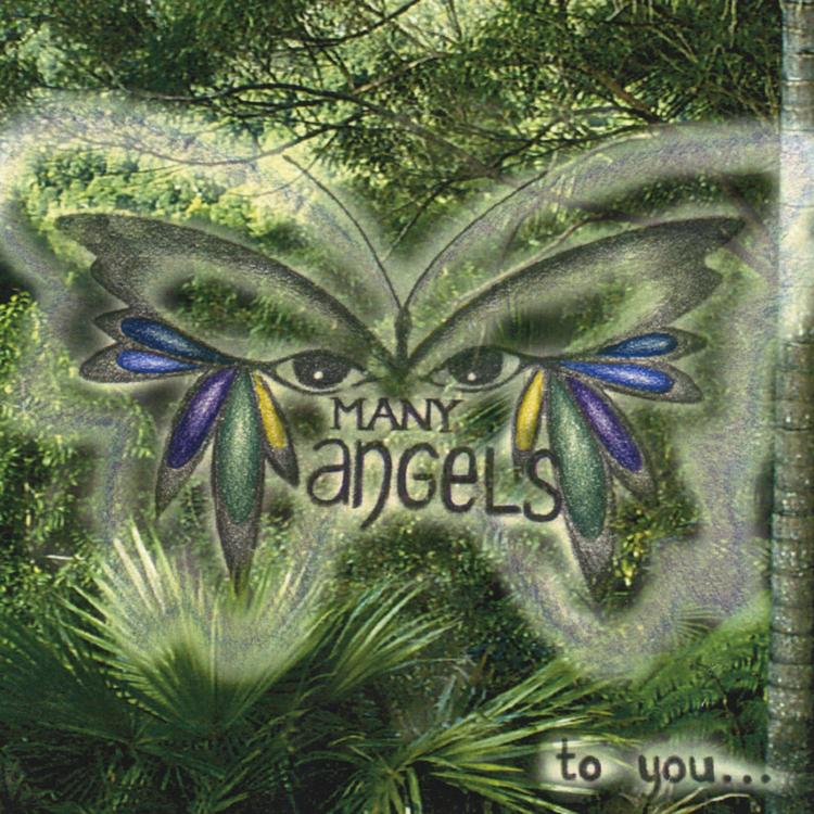 Many Angels's avatar image