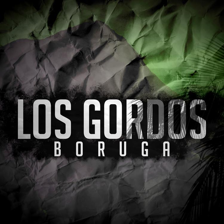 Boruga's avatar image