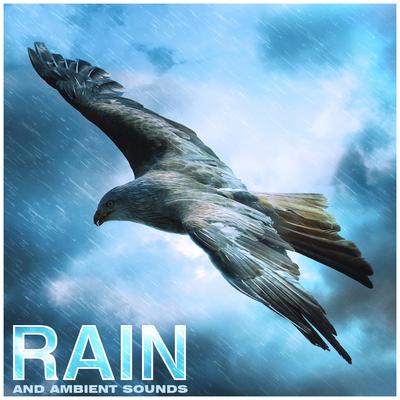 Meditation Rain (Original Mix) By Nature Sounds, Rain Sounds, Nature Sounds Nature Music's cover