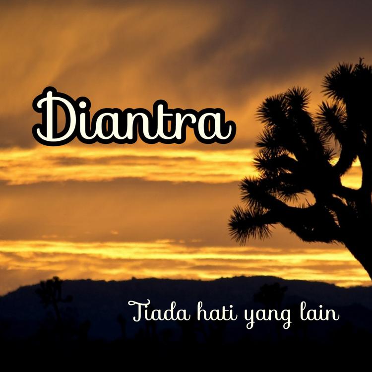 Diantra's avatar image