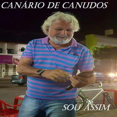 Um Caso por Acaso By Canário de Canudos's cover