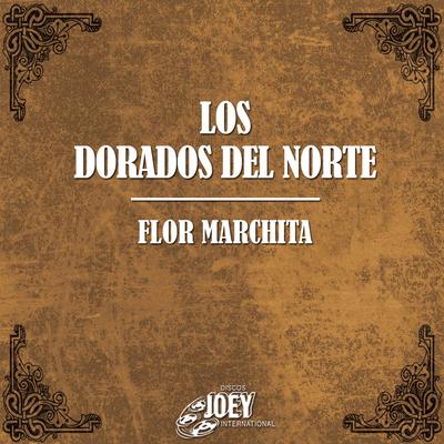 Los Dorados del Norte's cover