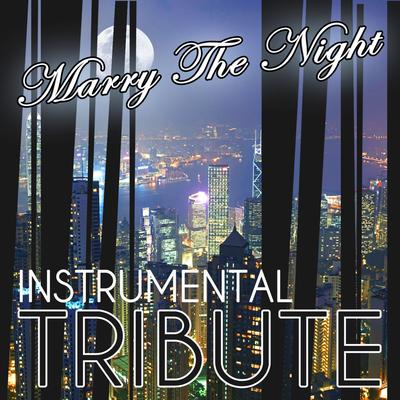 Marry The Night (Lady GaGa Tribute) - Instrumental's cover
