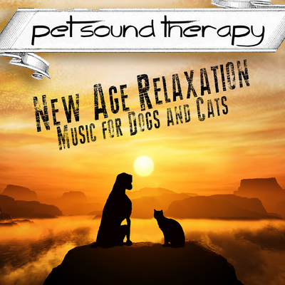 Spirit's Descent By Pet Sound Therapy's cover