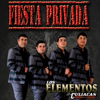 Fiesta Privada's cover