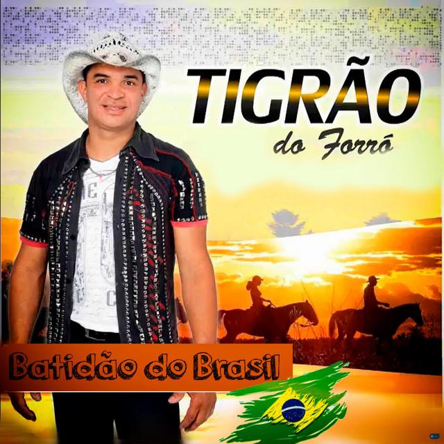 Tigrão do Forró's avatar image