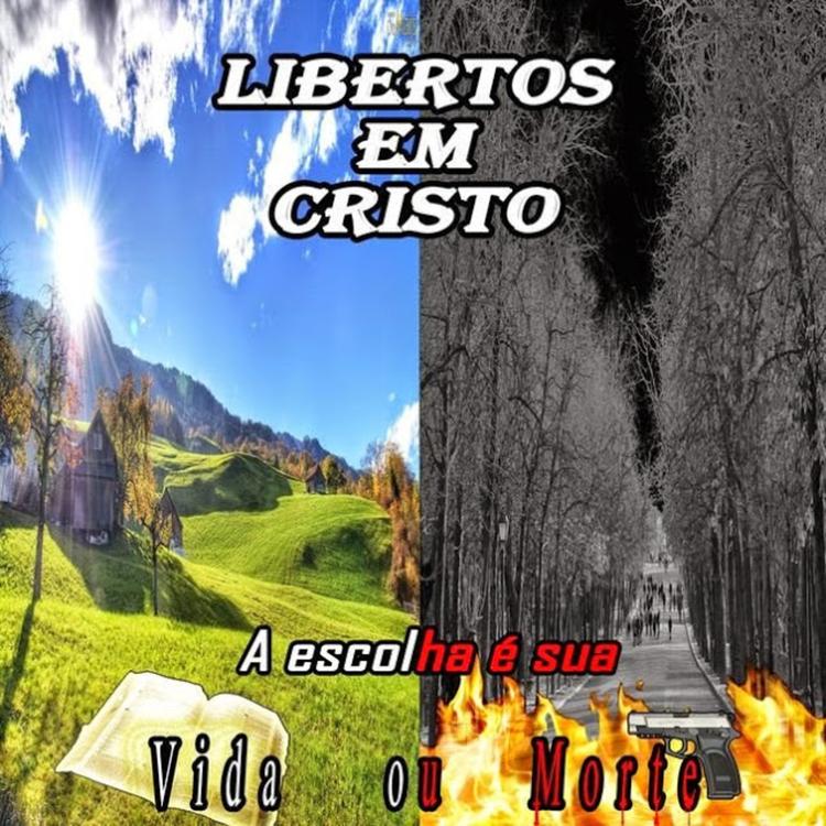 Libertos Em Cristo's avatar image