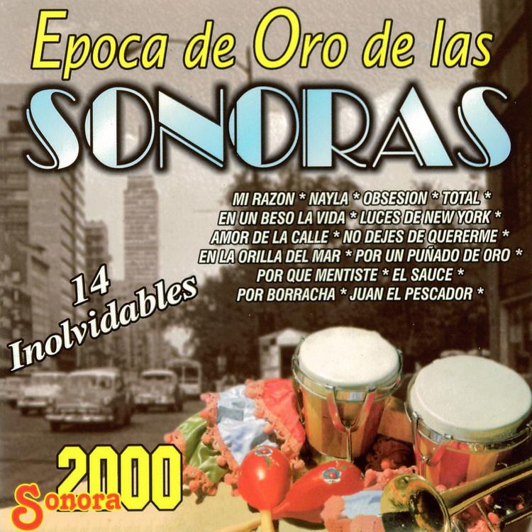 Sonora 2000's avatar image