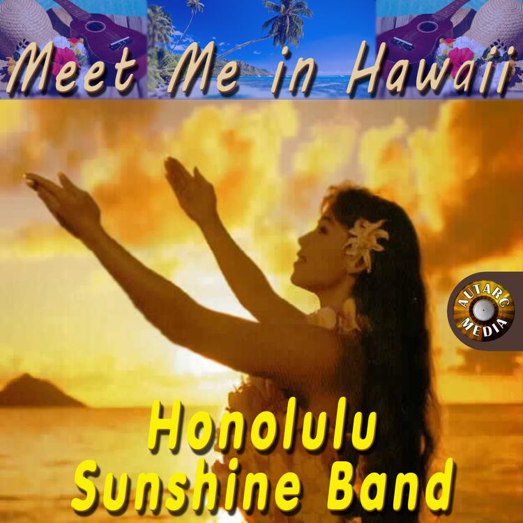 Honolulu-Sunshine-Band's avatar image