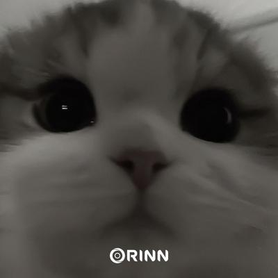 Orinn Sped's cover