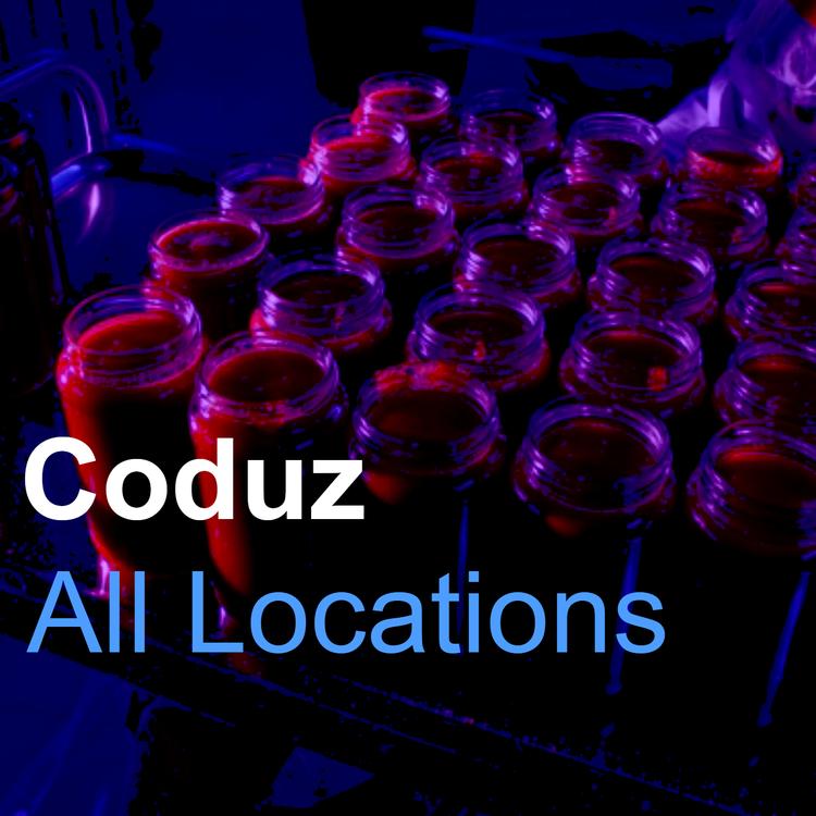 Coduz's avatar image