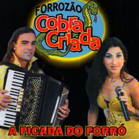 Forrózão Cobra Criada's avatar cover