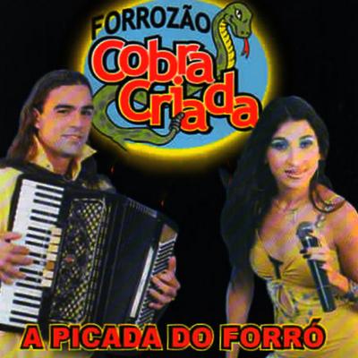 Forrózão Cobra Criada's cover